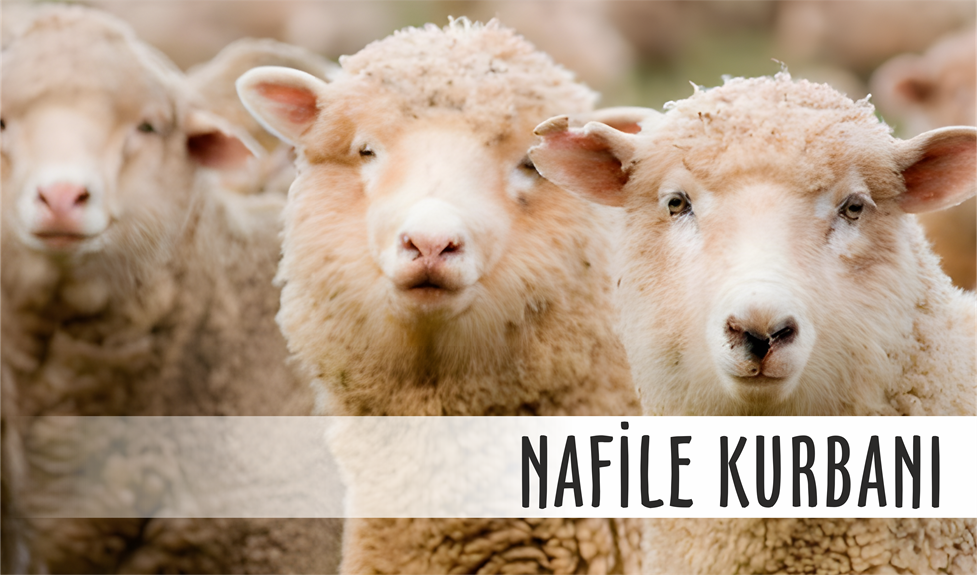 Nafile Kurbanı